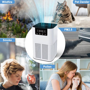 Buddemas Pet Air Purifier