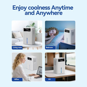 AirDryox Dehumidifier for Home