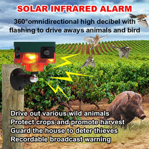 BirdyBane Crow Deterrent