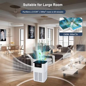 Buddemas Pet Air Purifier