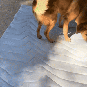 PawFroste Cool Mat for Dogs