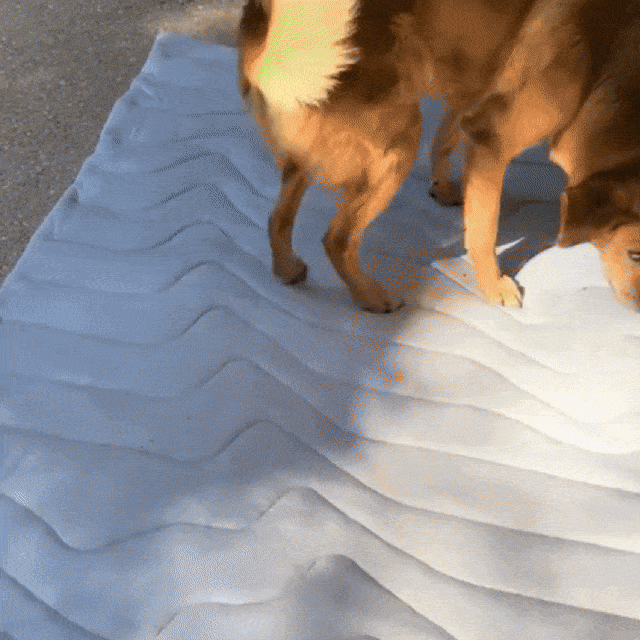 PawFroste Cool Mat for Dogs