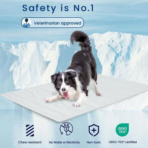 PawFroste Non Gel Cooling Mat For Dogs