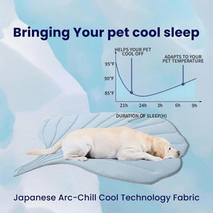 PawFroste Cool Mat for Dogs