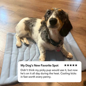 PawFroste Cool Mat for Dogs