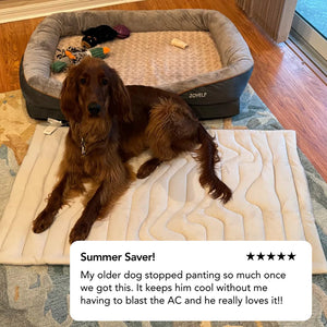 PawFroste Cool Mat for Dogs