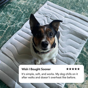 PawFroste Cool Mat for Dogs