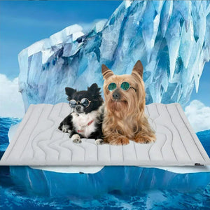 PawFroste Cool Mat for Dogs