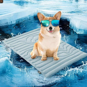 PawFroste Cool Mat for Dogs