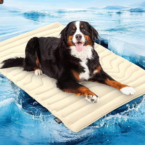 PawFroste Cool Mat for Dogs