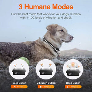 Pawtopie Dog Training Collar