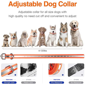 Pawtopie Dog Training Collar