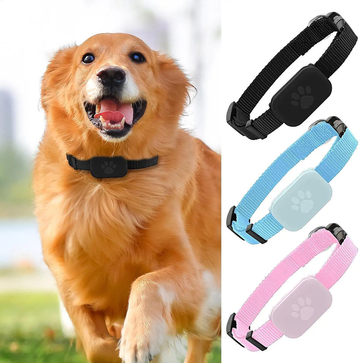 Pupramix Dog Tracker Without Subscription Fee
