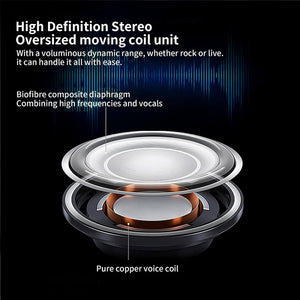 SunRoxax Outdoor Rock Speakers
