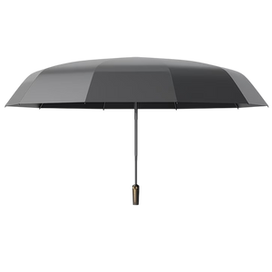 Foldrella Compact Umbrella