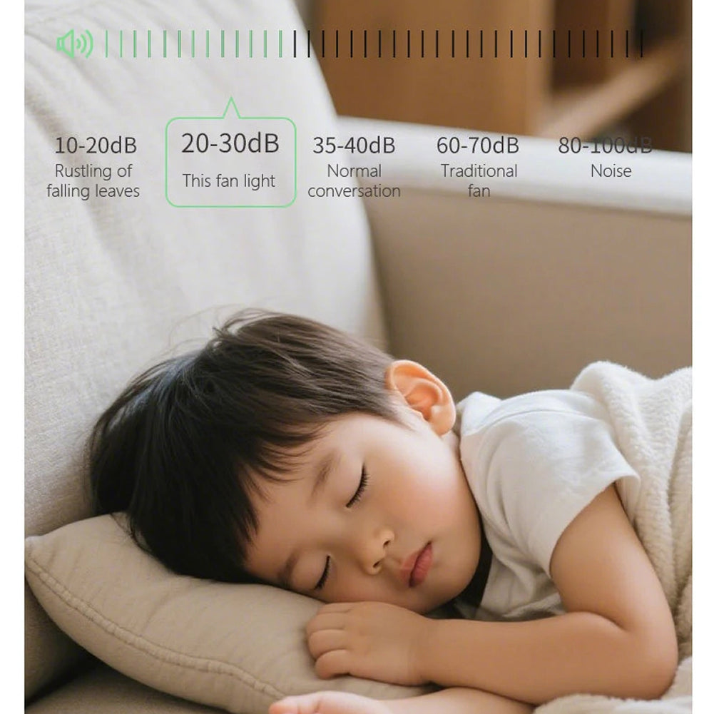 LumaoFan Ceiling Fan With Light