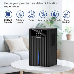 AirDryox Dehumidifier for Home