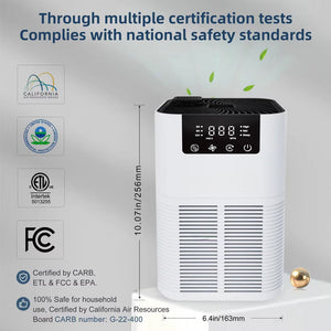 Buddemas Pet Air Purifier