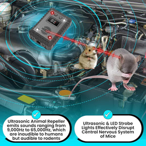 AutexRat Squirrel Repellent For Car Engines