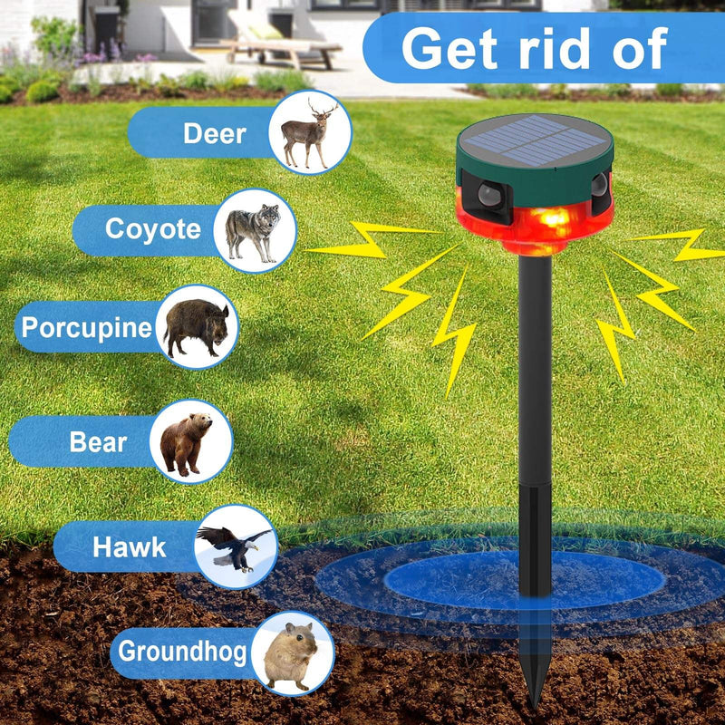 BirdyBane Crow Deterrent