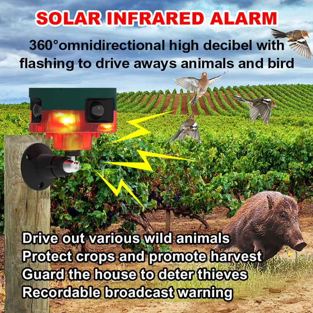 BirdyBane Crow Deterrent