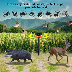 BirdyBane Crow Deterrent