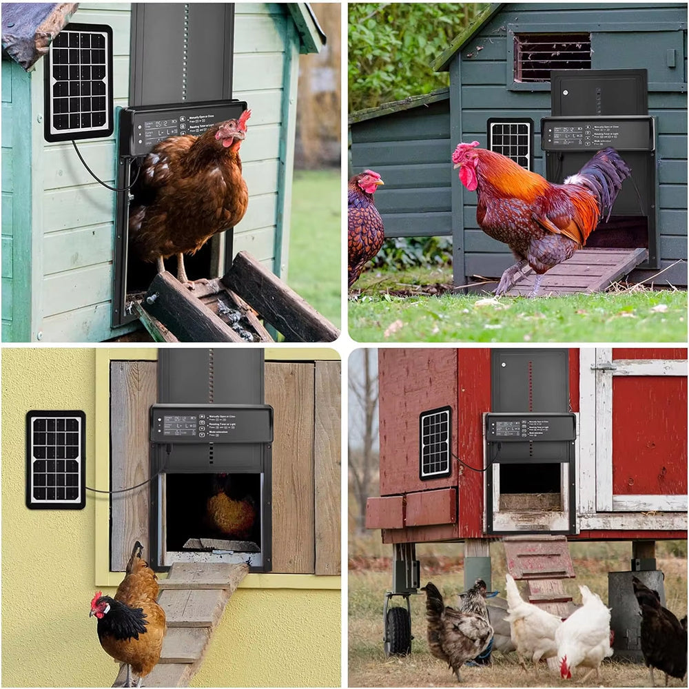 ChicxGate Chicken Coop Door