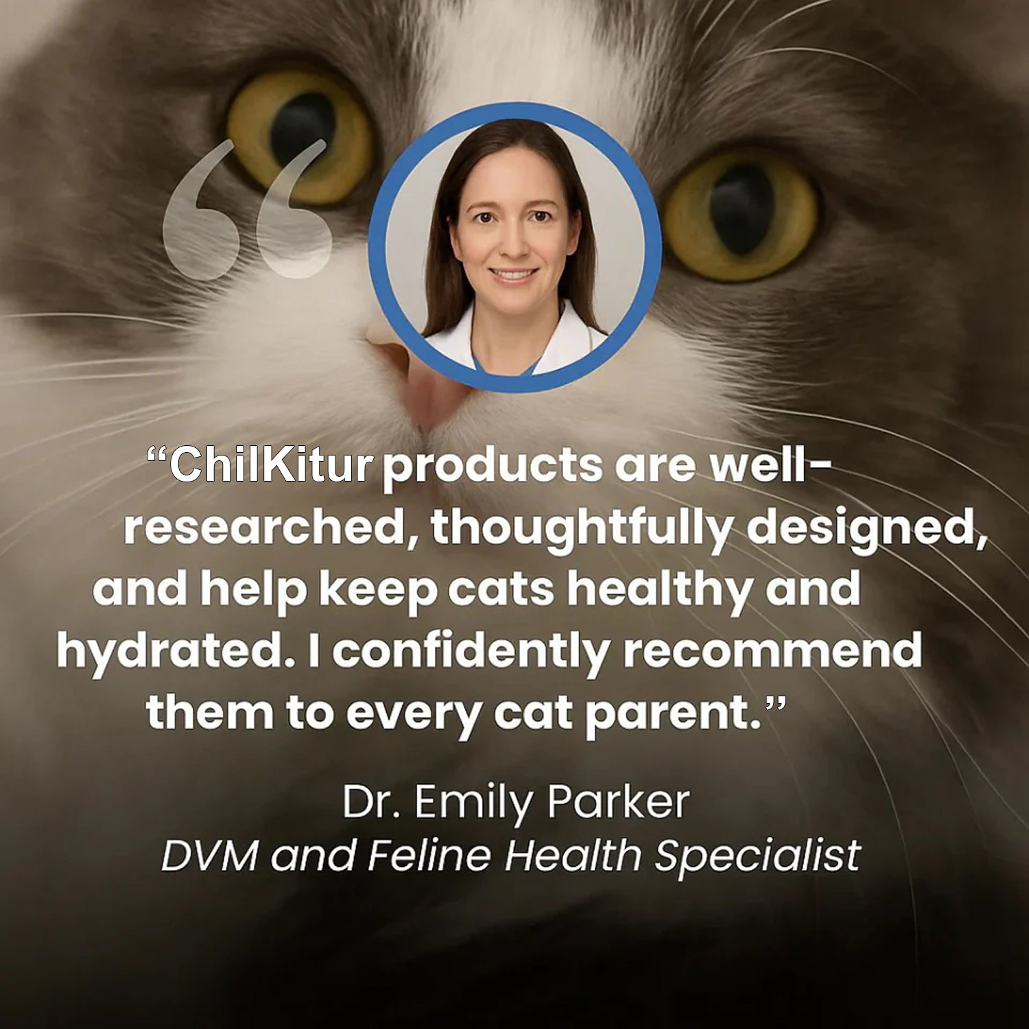 ChilKitur Cooling Pad for Cats