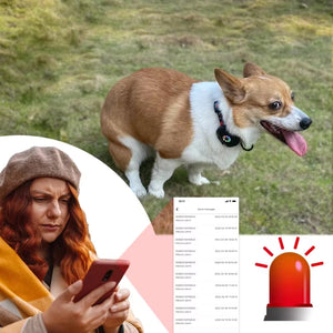 CatMaxe Tracking Collar for Cats