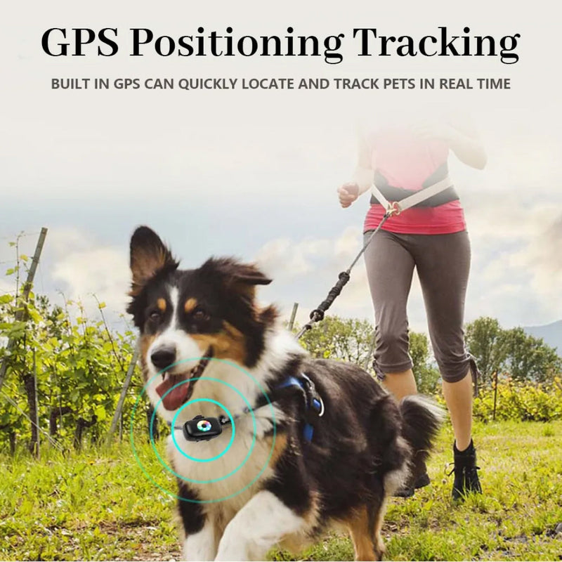 CatMaxe Tracking Collar for Cats