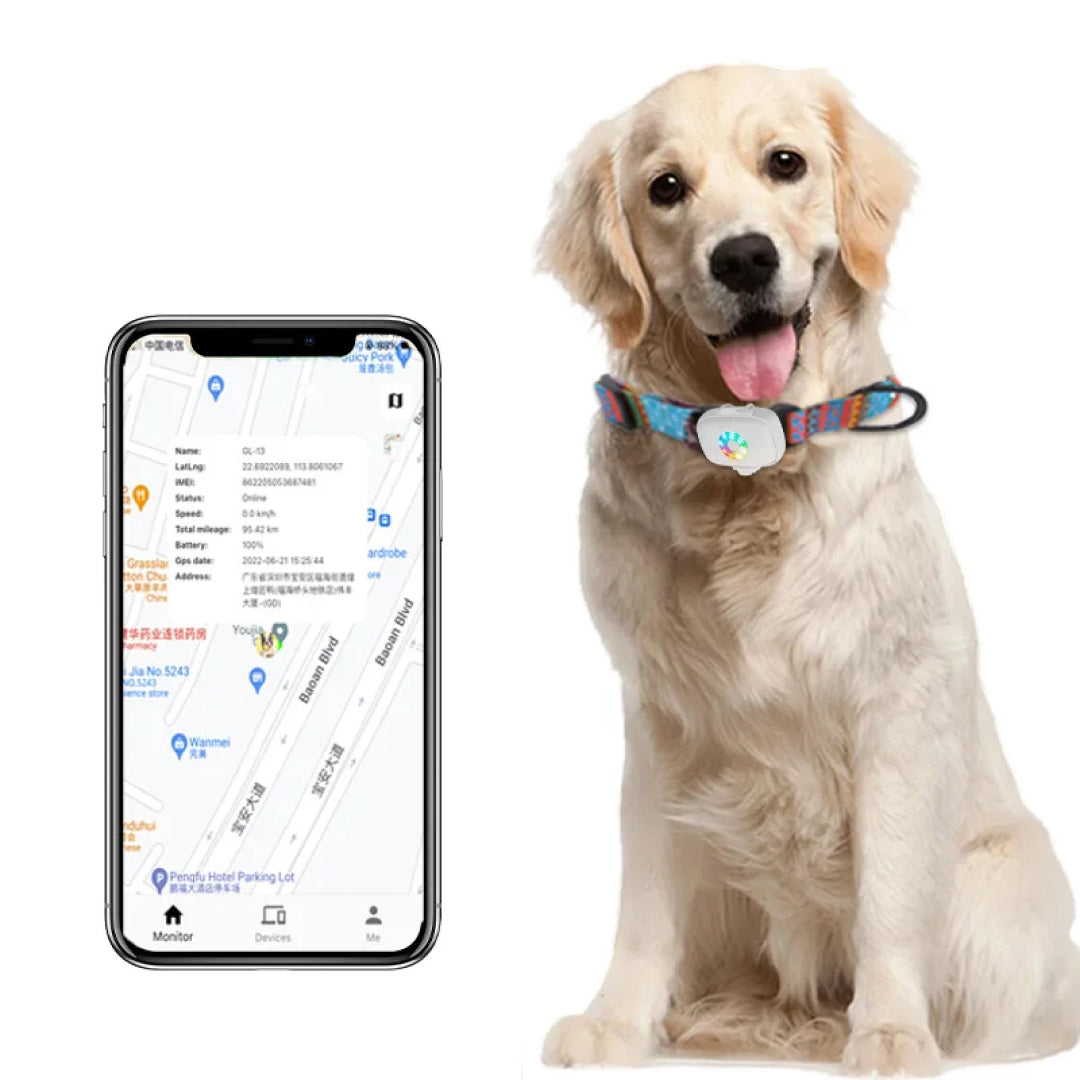 CatMaxe Tracking Collar for Cats