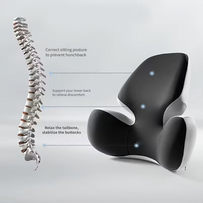ErgoPadix Ergonomic Seat Cushion
