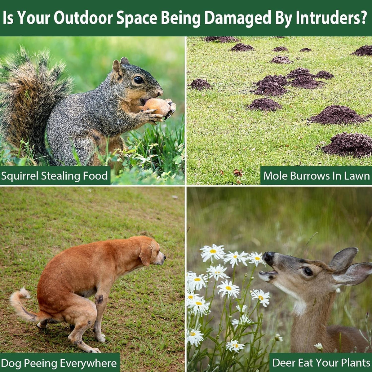 Guardixim Fox Deterrent For Garden