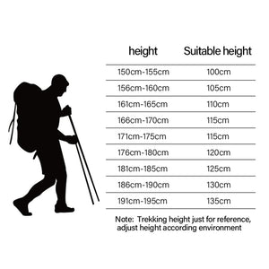 Hikaroz Hiking Pole