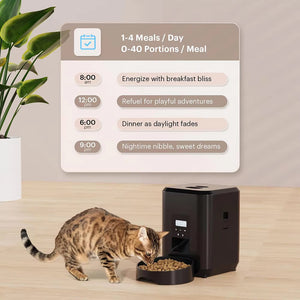 MealMeww Automatic Cat Feeder