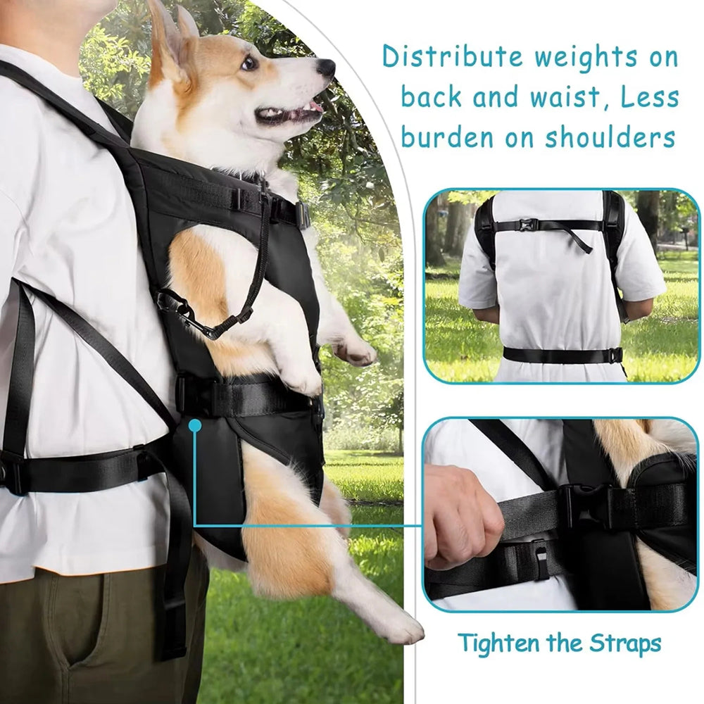 PawPackaf Dog Carrier Backpack