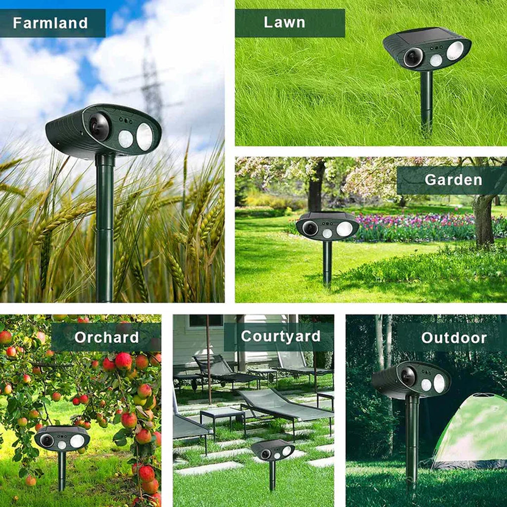 PestiqPaw Cat Repeller For Garden