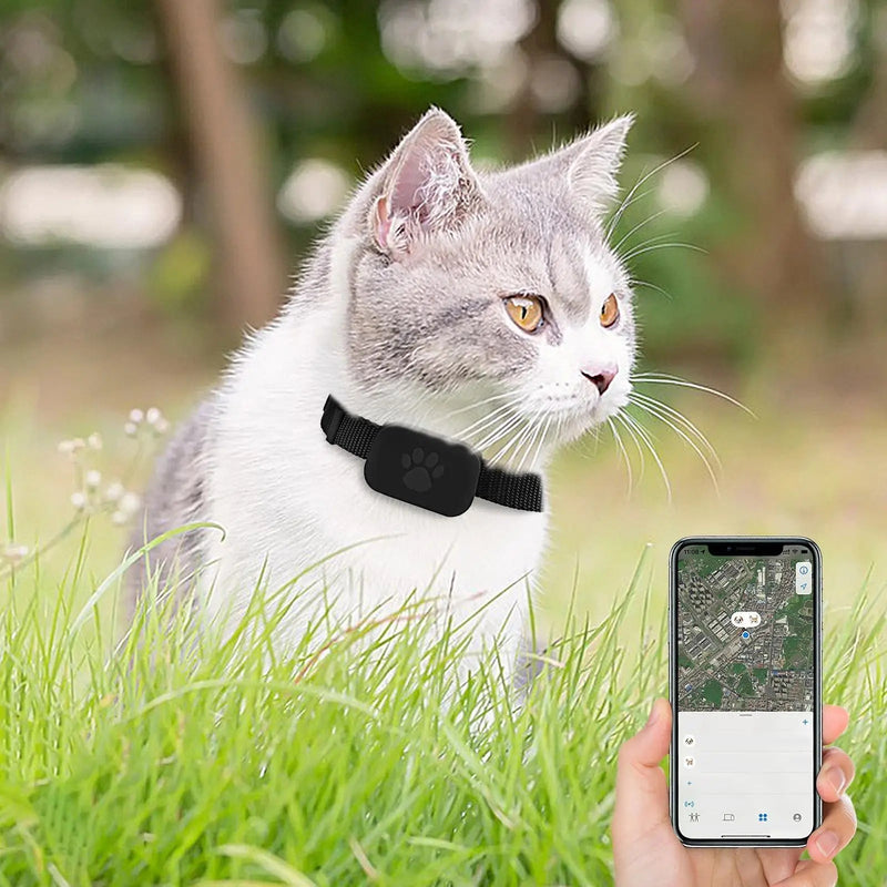 Pupramix Dog Tracker Without Subscription Fee