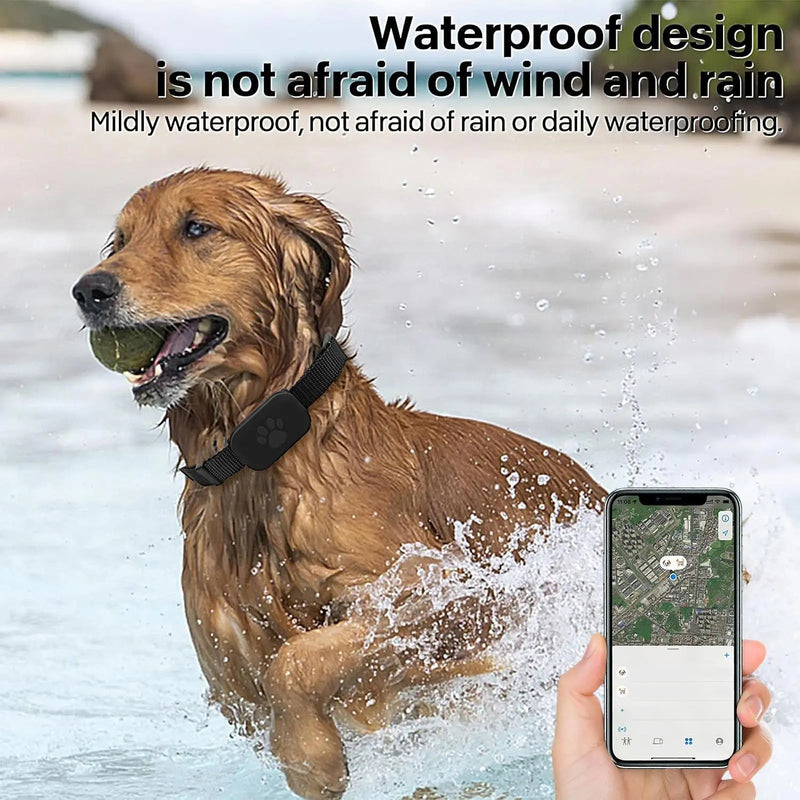Pupramix Dog Tracker Without Subscription Fee