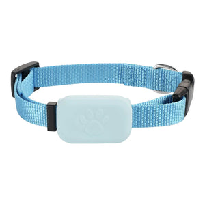 Pupramix Dog Tracker Without Subscription Fee