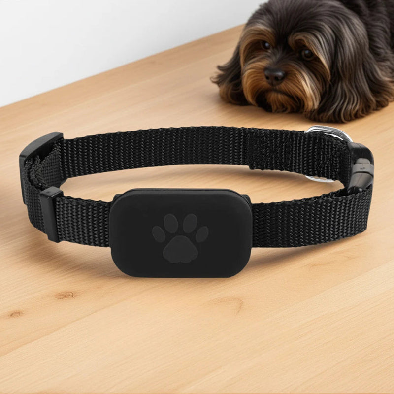 Pupramix Dog Tracker Without Subscription Fee