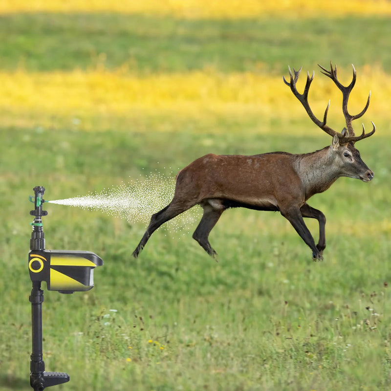 Sprixcle Motion Activated Sprinkler For Fox