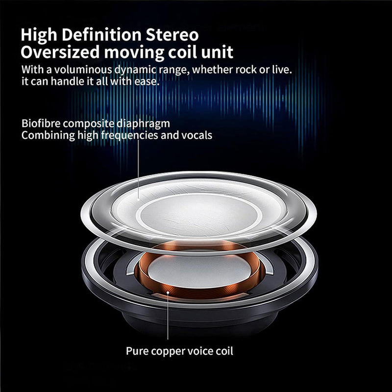 SunRoxax Outdoor Rock Speakers