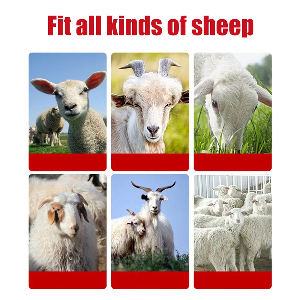 Woolilux